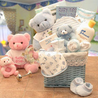 Sweet Baby of Mine New Baby Basket -Blue