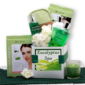 Eucalyptus Spa Care Package